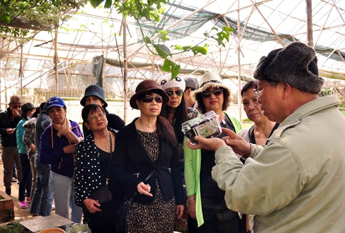 Ông Lê Hữu Phan (Phường 9) giới thiệu cho du khách sản phẩm cà chua đen tại vườn của gia đình. Ông Lê Hữu Phan (Phường 9) giới thiệu cho du khách sản phẩm cà chua đen tại vườn của gia đình.