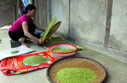 Đặc sản cốm Tú Lệ ảnh 5