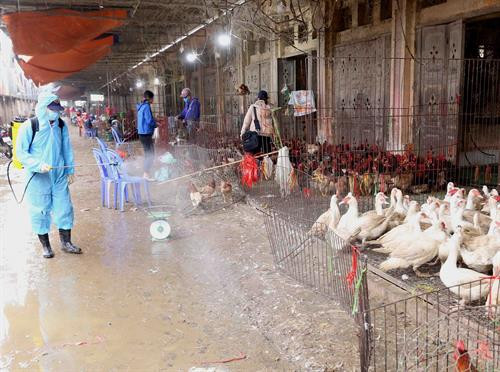 Chợ đầu mối gia cầm Hà Vĩ chủ động phòng, chống dịch cúm gia cầm ảnh 4 Chợ đầu mối gia cầm Hà Vĩ chủ động phòng, chống dịch cúm gia cầm ảnh 4