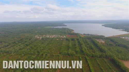 Đắk Lắk hiện có 11 doanh nghiệp được cấp quyền sử dụng chỉ dẫn địa lý Cà phê Buôn Ma Thuột với tổng diện tích 15.300 ha, sản lượng đăng ký hàng năm 47.500 tấn. Ảnh: Phạm Cường