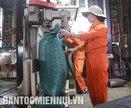 Việc đăng ký bảo hộ chỉ dẫn địa lý Cà phê Buôn Ma Thuột là một cách để khai thác thị trường hàng hóa cấp cao, nâng cao giá trị xuất khẩu của mặt hàng này. Ảnh: Phạm Cường