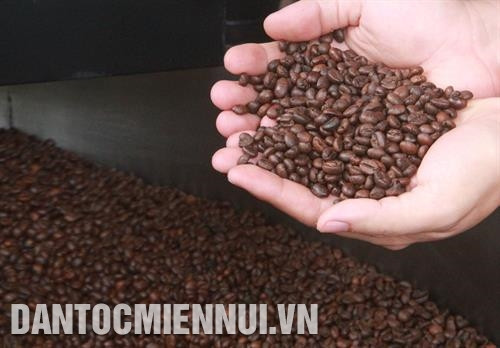 Cà phê mang chỉ dẫn địa lý Buôn Ma Thuột đang từng bước khẳng định được thương hiệu và chỗ đứng trên thị trường thế giới. Ảnh: Phạm Cường