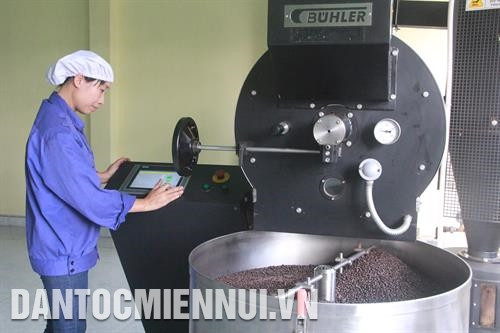 Cà phê nhân mang chỉ dẫn địa lý Cà phê Buôn Ma Thuột được sản xuất theo quy trình sản xuất bền vững, thực hành nông nghiệp tốt. Ảnh: Phạm Cường