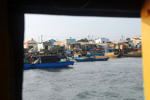 Vẻ đẹp thanh bình trên xã đảo Thạnh An ảnh 5