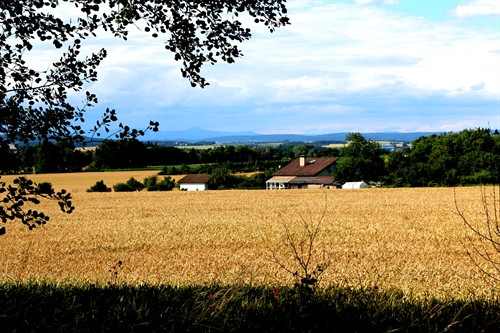 Làng Rososky thanh bình trước khi vào vụ gặt