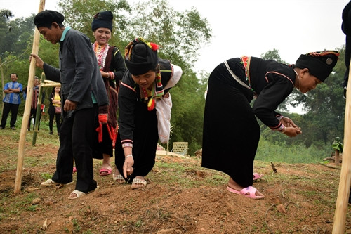 Việc chọc lỗ thường do nam giới đảm nhiệm, còn tra hạt là phần việc của nữ giới