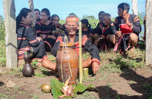 Trước khi làm Lễ mừng lúa mới, thầy cúng làm Lễ đưa hồn lúa về nhà kho và xin phép thần lúa cho người dân được gặt lúa đem về kho. Người thu hoạch lúa phải vuốt bằng tay để không làm cây lúa bị đau, thần lúa mới ở lại với gia chủ Sau đó, thầy cúng đặt các lễ vật về phía Đông và thực hiện các nghi thức rước lúa với mong muốn mong mùa rẫy mới mưa thuận gió hòa, mùa màng tươi tốt Sau khi làm lễ xong, thầy cúng mời người phụ nữ là chủ ruộng lúa uống rượu cần. Theo phong tục, người uống phải say, rượu cần phải cạn thì vụ mùa năm sau sẽ càng nhiều lúa. Sau phần lễ rước hồn lúa về kho, người dân tổ chức dã gạo để lựa ra những hạt gạo tốt nhất Những âm thanh gọi thần lúa về kho Sau khi mọi lễ vật đã chuẩn bị đầy đủ, thầy cúng thực hiện nghi thức cúng các vị thần linh ở kho lúa mới để tạ ơn thần Đất - Trời, Núi - Rừng. Tiếp đó là Lễ cúng lúa mới và cúng sức khỏe cho già làng với đầy đủ các lễ vật: cơm lúa mới, rượu cần, heo, gà... Thầy cúng khấn niệm với mong muốn cầu chúc mọi người sức khỏe, gia đình hạnh phúc, mùa màng bội thu. Sau khi cúng xong, thầy cúng mời người nữ, chủ ruộng lên uống rượu cần. Phần lễ vật và rượu cần còn lại được chia cho tất cả những người được mời tham dự.. . Người dân và du khách cùng chung vui Múa hát quanh cây nêu trong ngày hội ... cồng chiêng "Mừng lúa mới được mùa" kết hợp với những điệu múa xoang đầy uyển chuyển trong "Mọi người ơi, hòa cùng nhịp xoang Gia Rai" Một hình ảnh không thể thiếu trong các nghi lễ của người Gia Rai chính là biểu tượng của những chú chim, có thể bay lên cao đến xứ sở các thần linh đem theo lời cầu xin của con người.