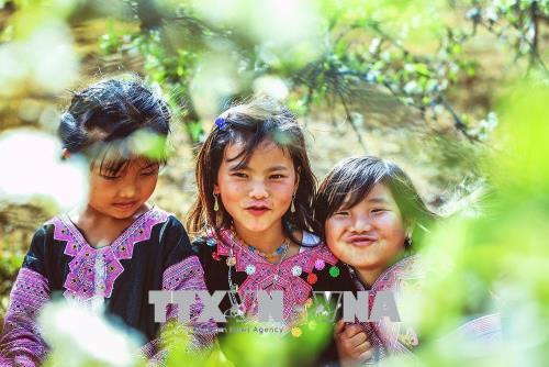 Nét hồn nhiên và thân thiện của những em bé người Mông dễ thương làm du khách cảm thấy yêu quý hơn khi đến với vùng đất cao nguyên này. Ảnh: Trọng Đạt – TTXVN Nét hồn nhiên và thân thiện của những em bé người Mông dễ thương làm du khách cảm thấy yêu quý hơn khi đến với vùng đất cao nguyên này. Ảnh: Trọng Đạt – TTXVN