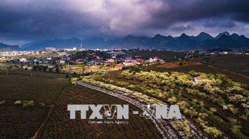 Vẻ đẹp của của nông trường chè thị trấn Mộc Châu, một điểm đến lý tưởng của du khách mỗi khi đến với Mộc Châu vào dịp xuân về. Ảnh: Trọng Đạt – TTXVN Vẻ đẹp của của nông trường chè thị trấn Mộc Châu, một điểm đến lý tưởng của du khách mỗi khi đến với Mộc Châu vào dịp xuân về. Ảnh: Trọng Đạt – TTXVN