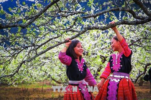 Nét hồn nhiên và thân thiện của những em bé người Mông dễ thương làm du khách cảm thấy yêu quý hơn khi đến với vùng đất cao nguyên Mộc Châu. Ảnh: Trọng Đạt – TTXVN Nét hồn nhiên và thân thiện của những em bé người Mông dễ thương làm du khách cảm thấy yêu quý hơn khi đến với vùng đất cao nguyên Mộc Châu. Ảnh: Trọng Đạt – TTXVN