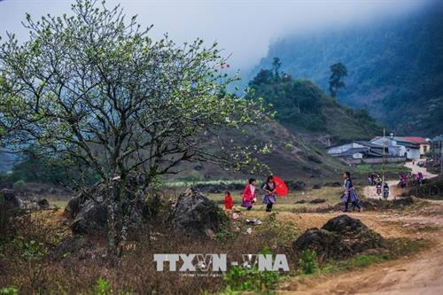 Mùa xuân về cũng là thời điểm mà đồng bào người Mông diện trang phục rực rỡ và chơi những trò chơi truyền thống. Ảnh: Trọng Đạt – TTXVN Mùa xuân về cũng là thời điểm mà đồng bào người Mông diện trang phục rực rỡ và chơi những trò chơi truyền thống. Ảnh: Trọng Đạt – TTXVN