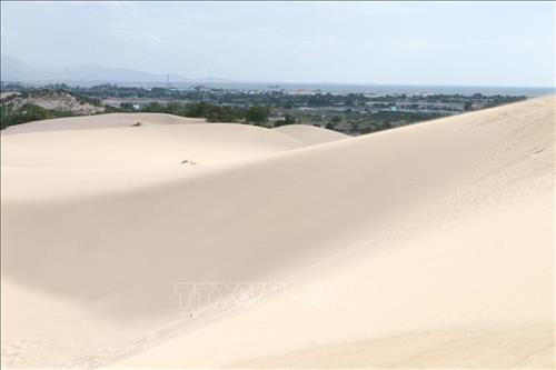 Những triền cát uốn cong do gió biển tạo thành. Ảnh: Nguyễn Thành – TTXVN