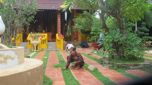 Sơ chế thuốc nam tại sân chùa