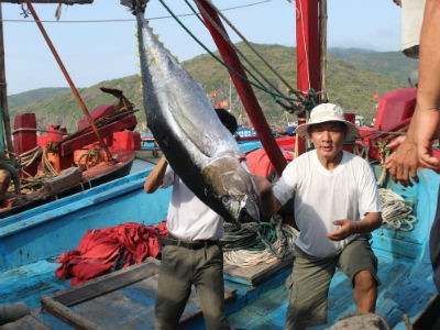 Ảnh minh họa Ảnh minh họa