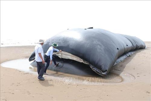 Đoạn kè mềm bằng túi Geotube dài khoảng 30m được xây dựng thí điểm tại bờ biển khu vực xã Thạnh Phong. Ảnh : Công Trí-TTXVN Đoạn kè mềm bằng túi Geotube dài khoảng 30m được xây dựng thí điểm tại bờ biển khu vực xã Thạnh Phong. Ảnh : Công Trí-TTXVN