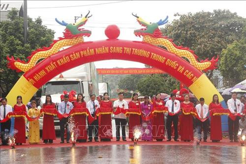 Lễ cắt băng khởi hành 60 tấn nhãn Sơn La xuất khẩu sang thị trường Mỹ, Trung Quốc năm 2019. Ảnh: Quang Quyết – TTXVN Lễ cắt băng khởi hành 60 tấn nhãn Sơn La xuất khẩu sang thị trường Mỹ, Trung Quốc năm 2019. Ảnh: Quang Quyết – TTXVN