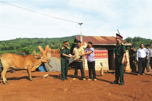 Bộ đội Biên phòng tỉnh hỗ trợ bò giống cho các hộ đồng bào nghèo.
