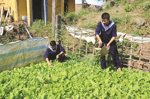 Các chiến sĩ đảo Hòn Khoai chăm sóc rau tại vườn thanh niên của đảo Các chiến sĩ đảo Hòn Khoai chăm sóc rau tại vườn thanh niên của đảo