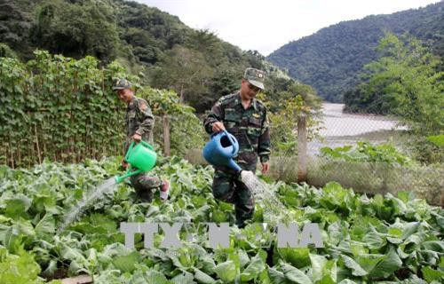 Cán chiến sĩ trạm Biên phòng Kẻng Mỏ tăng gia sản xuất. Ảnh: Việt Hoàng – TTXVN Cán chiến sĩ trạm Biên phòng Kẻng Mỏ tăng gia sản xuất. Ảnh: Việt Hoàng – TTXVN