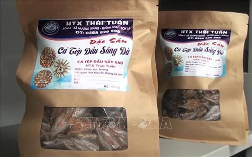 Sản phẩm cá tép dầu sông Đà của Hợp tác xã Thái Tuấn, xã Mường Giàng, huyện Quỳnh Nhai (Sơn La). Ảnh: Nguyễn Cường - TTXVN Sản phẩm cá tép dầu sông Đà của Hợp tác xã Thái Tuấn, xã Mường Giàng, huyện Quỳnh Nhai (Sơn La). Ảnh: Nguyễn Cường - TTXVN