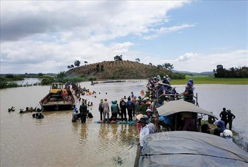 Đê bao Quảng Điền đã bị vỡ, nước sông Krông Ana tràn vào hơn 1.000 lúa của người dân. Ảnh: Tuấn Anh - TTXVN