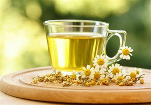 Tác dụng của hoa cúc với cơ thể ảnh 1 Tác dụng của hoa cúc với cơ thể ảnh 1