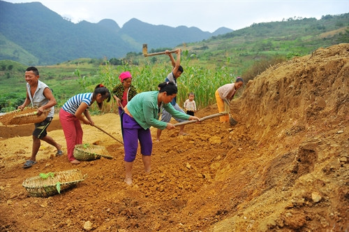 Đất làm nhà trình tường được ngườic Mông rất chú trọng. Sau khi chọn được đất tốt, đất lành, người ta tiến hành san nền, kê móng, trình tường nhà.