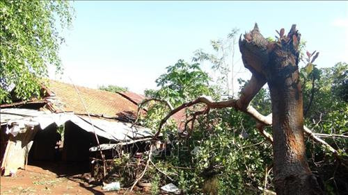 Những nhà dân bị ảnh hưởng sau trận mưa lốc. Ảnh: K GỬIH - TTXVN Những nhà dân bị ảnh hưởng sau trận mưa lốc. Ảnh: K GỬIH - TTXVN