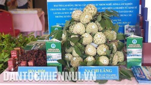 Sản phẩm nông nghiệp của các địa phương. Ảnh: Hoàng Hải Sản phẩm nông nghiệp của các địa phương. Ảnh: Hoàng Hải