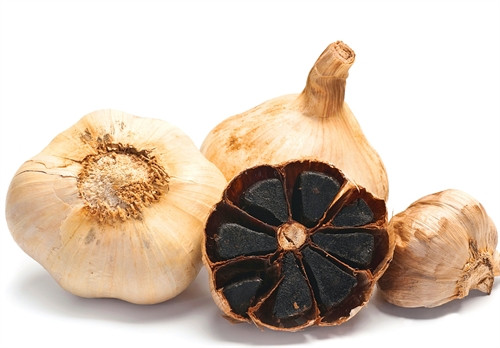 “Siêu tỏi” thần bí ảnh 1 “Siêu tỏi” thần bí ảnh 1