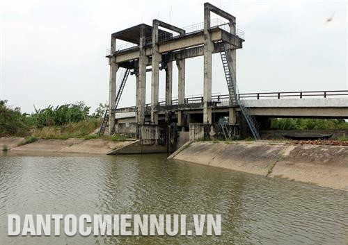 Lên kế hoạch dự trữ nước ngọt. Ảnh: Trung Hiếu Lên kế hoạch dự trữ nước ngọt. Ảnh: Trung Hiếu