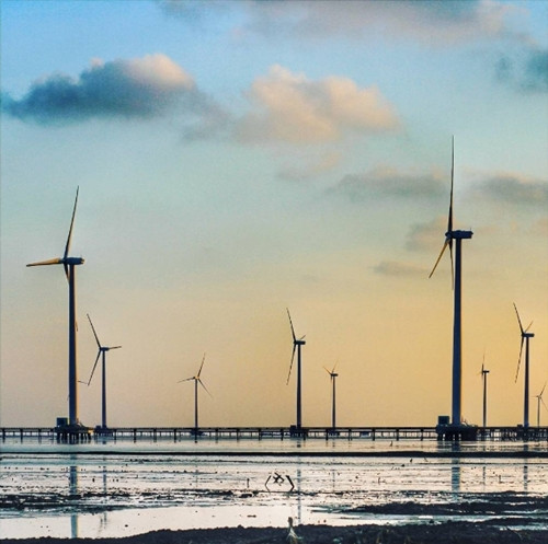 Đến Bạc Liêu ngắm “cánh đồng quạt gió” đẹp như trời Tây ảnh 8