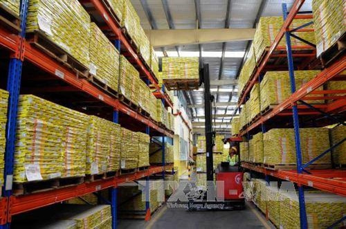 Hoạt động sản xuất tại Công ty Cổ phần Công nghiệp Vĩnh Tường (Khu công nghiệp Hiệp phước, Thành phố Hồ Chí Minh). Hiện nay công ty là một trong những doanh nghiệp hàng đầu Việt Nam sản xuất và cung cấp các sản phẩm khung trần treo, khung vách ngăn và trần trang trí thay thế cho hàng nhập khẩu. Với 5 nhà máy tại khu vực miền Nam, miền Bắc, Singapore, Campuchia, hàng năm, công ty cung cấp hơn 25 triệu m2 sản phẩm khung trần và gần 30 triệu m2 các sản phẩm ra thị trường và xuất khẩu. Ảnh: An Hiếu - TTXVN