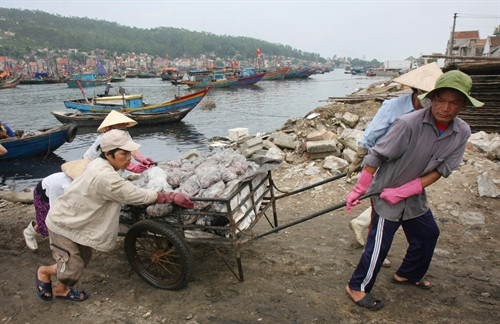 Chuyển hải sản từ tàu cá lên bờ