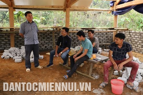 Nhờ có sự năng động của cán bộ trẻ Xồng Bá Cha, nhiều thanh niên trong bản đã học tập anh cách làm kinh tế, quyết tâm làm giàu trên mảnh đất quê hương. Ảnh: Nam Sương