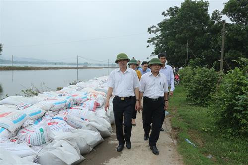 Ông Chu Phú Mỹ (bên trái) – Giám đốc Sở Nông nghiệp và Phát triển nông thôn Hà Nội thị sát tuyến đê tả sông Bùi đoạn qua xã Thanh Bình, huyện Chương Mỹ.
