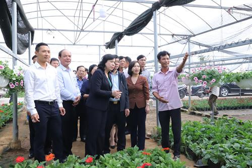 Phó Bí thư Thường trực Thành ủy Hà Nội Ngô Thị Thanh Hằng cùng Đoàn công tác thăm mô hình trồng hoa, cây cảnh tại xã Tích Giang.