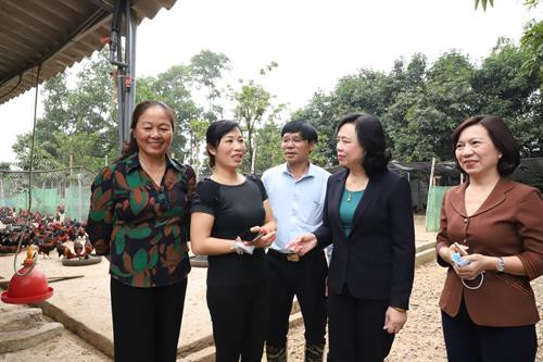 Phó Bí thư Thường trực Thành ủy Hà Nội Ngô Thị Thanh Hằng cùng Đoàn công tác thăm trang trại nuôi gà quy mô 10.000 con tại xã Tích Giang.