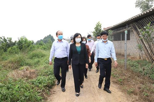 Phó Bí thư Thường trực Thành ủy Hà Nội Ngô Thị Thanh Hằng cùng Đoàn công tác thăm trang trại nuôi gà quy mô 10.000 con tại xã Tích Giang.