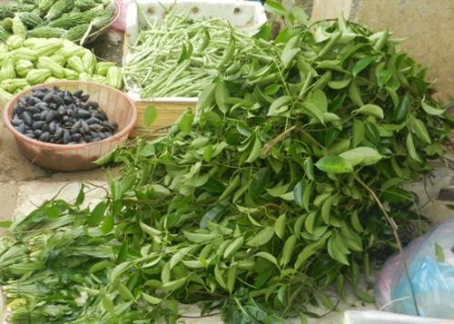 Những món rau rừng “đỉnh nhất’, ăn là nghiện của vùng Tây Bắc ảnh 4 Những món rau rừng “đỉnh nhất’, ăn là nghiện của vùng Tây Bắc ảnh 4