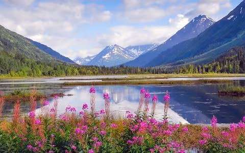 Sông Kenai, Alaska, Mỹ.