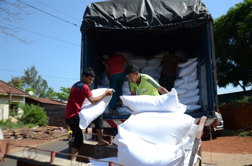 Đưa gạo đến các điểm cấp phát cho đồng bào Đưa gạo đến các điểm cấp phát cho đồng bào