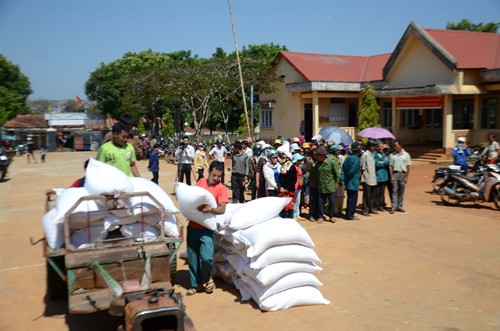 Tập kết gạo chuẩn bị cấp phát cho người dân. Tập kết gạo chuẩn bị cấp phát cho người dân.