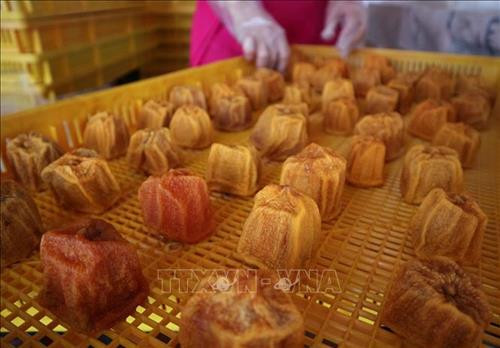 Hồng sấy bằng công nghệ Hàn Quốc có màu vàng, bên trong ruột hồng vẫn vàng đậm, hơi đỏ và mềm dẻo . Ảnh: Nguyễn Dũng – TTXVN Hồng sấy bằng công nghệ Hàn Quốc có màu vàng, bên trong ruột hồng vẫn vàng đậm, hơi đỏ và mềm dẻo . Ảnh: Nguyễn Dũng – TTXVN