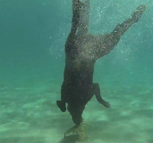 Alex đã ghi hình lại toàn bộ các buổi huấn luyện. (Nguồn: CCTVNews)