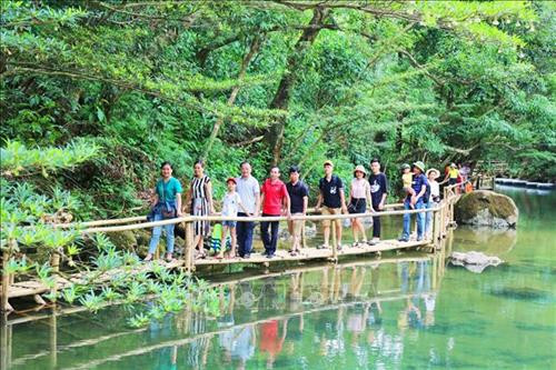 Lợi thế của Ozo Treetop Park là du khách có nhiều chọn lựa để chụp ảnh kỷ niệm với khung cảnh đẹp. Ảnh: Mạnh Thành - TTXVN