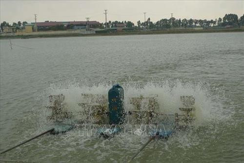 Bể theo tiêu chuẩn sẽ được lắp đặt 1 máy sục khí công suất lớn tạo dòng chảy liên tục trong bể để thay đổi nguồn nước và một máy cho cá ăn tự động nhằm điều chỉnh lượng thức ăn cho cá. Ảnh: Thanh Nga - TTXVN