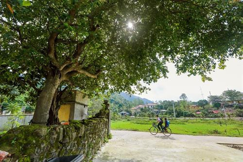 Đảo Cù Lao Chàm nhìn từ phía biển. Ảnh: Trọng Đạt - TTXVN Đánh bắt hải sản là nghề chính của người dân trên đảo Cù Lao Chàm. Ảnh: Trọng Đạt - TTXVN Một góc làng chài trên đảo Cù Lao Chàm. Ảnh: Trọng Đạt - TTXVN Một góc làng chài trên đảo Cù Lao Chàm. Ảnh: Trọng Đạt - TTXVN Trung tâm đảo Cù Lao Chàm. Cù lao Chàm bao gồm 8 đảo: Hòn Lao, Hòn Dài, Hòn Mồ, Hòn Khô mẹ, Hòn Khô con, Hòn Lá, Hòn Tai, Hòn Ông, với dân số khoảng 3.000 người. Ảnh: Trọng Đạt - TTXVN Một góc đảo Cù Lao Chàm. Ảnh: Trọng Đạt - TTXVN Vẻ đẹp bình yên trên đảo Cù Lao Chàm. Ảnh: Trọng Đạt - TTXVN Vẻ đẹp bình yên trên đảo Cù Lao Chàm. Ảnh: Trọng Đạt - TTXVN Chùa cổ Hải Tạng trên Cù Lao Chàm là công trình kiến trúc tôn giáo tín ngưỡng thờ Phật kết hợp thờ thánh thần, nhằm đáp ứng nhu cầu tín ngưỡng của ngư dân trên đảo Cù Lao Chàm nói riêng và cho thương thuyền các nước ghé vào hành lễ cung kính tín ngưỡng Phật giáo. Chùa được xây dựng vào năm Cảnh Hưng thứ 19 (1758). Ảnh: Trọng Đạt – TTXVN Vẻ đẹp bình yên trên đảo Cù Lao Chàm. Ảnh: Trọng Đạt - TTXVN Đảo Cù Lao Chàm nhìn từ phía biển. Ảnh: Trọng Đạt - TTXVN Đánh bắt hải sản là nghề chính của người dân trên đảo Cù Lao Chàm. Ảnh: Trọng Đạt - TTXVN Một góc làng chài trên đảo Cù Lao Chàm. Ảnh: Trọng Đạt - TTXVN Một góc làng chài trên đảo Cù Lao Chàm. Ảnh: Trọng Đạt - TTXVN Trung tâm đảo Cù Lao Chàm. Cù lao Chàm bao gồm 8 đảo: Hòn Lao, Hòn Dài, Hòn Mồ, Hòn Khô mẹ, Hòn Khô con, Hòn Lá, Hòn Tai, Hòn Ông, với dân số khoảng 3.000 người. Ảnh: Trọng Đạt - TTXVN Một góc đảo Cù Lao Chàm. Ảnh: Trọng Đạt - TTXVN Vẻ đẹp bình yên trên đảo Cù Lao Chàm. Ảnh: Trọng Đạt - TTXVN Vẻ đẹp bình yên trên đảo Cù Lao Chàm. Ảnh: Trọng Đạt - TTXVN Chùa cổ Hải Tạng trên Cù Lao Chàm là công trình kiến trúc tôn giáo tín ngưỡng thờ Phật kết hợp thờ thánh thần, nhằm đáp ứng nhu cầu tín ngưỡng của ngư dân trên đảo Cù Lao Chàm nói riêng và cho thương thuyền các nước ghé vào hành lễ cung kính tín ngưỡng Phật giáo. Chùa được xây dựng vào năm Cảnh Hưng thứ 19 (1758). Ảnh: Trọng Đạt – TTXVN Vẻ đẹp bình yên trên đảo Cù Lao Chàm. Ảnh: Trọng Đạt - TTXVN