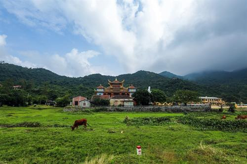 Đảo Cù Lao Chàm nhìn từ phía biển. Ảnh: Trọng Đạt - TTXVN Đánh bắt hải sản là nghề chính của người dân trên đảo Cù Lao Chàm. Ảnh: Trọng Đạt - TTXVN Một góc làng chài trên đảo Cù Lao Chàm. Ảnh: Trọng Đạt - TTXVN Một góc làng chài trên đảo Cù Lao Chàm. Ảnh: Trọng Đạt - TTXVN Trung tâm đảo Cù Lao Chàm. Cù lao Chàm bao gồm 8 đảo: Hòn Lao, Hòn Dài, Hòn Mồ, Hòn Khô mẹ, Hòn Khô con, Hòn Lá, Hòn Tai, Hòn Ông, với dân số khoảng 3.000 người. Ảnh: Trọng Đạt - TTXVN Một góc đảo Cù Lao Chàm. Ảnh: Trọng Đạt - TTXVN Vẻ đẹp bình yên trên đảo Cù Lao Chàm. Ảnh: Trọng Đạt - TTXVN Vẻ đẹp bình yên trên đảo Cù Lao Chàm. Ảnh: Trọng Đạt - TTXVN Chùa cổ Hải Tạng trên Cù Lao Chàm là công trình kiến trúc tôn giáo tín ngưỡng thờ Phật kết hợp thờ thánh thần, nhằm đáp ứng nhu cầu tín ngưỡng của ngư dân trên đảo Cù Lao Chàm nói riêng và cho thương thuyền các nước ghé vào hành lễ cung kính tín ngưỡng Phật giáo. Chùa được xây dựng vào năm Cảnh Hưng thứ 19 (1758). Ảnh: Trọng Đạt – TTXVN Vẻ đẹp bình yên trên đảo Cù Lao Chàm. Ảnh: Trọng Đạt - TTXVN Đảo Cù Lao Chàm nhìn từ phía biển. Ảnh: Trọng Đạt - TTXVN Đánh bắt hải sản là nghề chính của người dân trên đảo Cù Lao Chàm. Ảnh: Trọng Đạt - TTXVN Một góc làng chài trên đảo Cù Lao Chàm. Ảnh: Trọng Đạt - TTXVN Một góc làng chài trên đảo Cù Lao Chàm. Ảnh: Trọng Đạt - TTXVN Trung tâm đảo Cù Lao Chàm. Cù lao Chàm bao gồm 8 đảo: Hòn Lao, Hòn Dài, Hòn Mồ, Hòn Khô mẹ, Hòn Khô con, Hòn Lá, Hòn Tai, Hòn Ông, với dân số khoảng 3.000 người. Ảnh: Trọng Đạt - TTXVN Một góc đảo Cù Lao Chàm. Ảnh: Trọng Đạt - TTXVN Vẻ đẹp bình yên trên đảo Cù Lao Chàm. Ảnh: Trọng Đạt - TTXVN Vẻ đẹp bình yên trên đảo Cù Lao Chàm. Ảnh: Trọng Đạt - TTXVN Chùa cổ Hải Tạng trên Cù Lao Chàm là công trình kiến trúc tôn giáo tín ngưỡng thờ Phật kết hợp thờ thánh thần, nhằm đáp ứng nhu cầu tín ngưỡng của ngư dân trên đảo Cù Lao Chàm nói riêng và cho thương thuyền các nước ghé vào hành lễ cung kính tín ngưỡng Phật giáo. Chùa được xây dựng vào năm Cảnh Hưng thứ 19 (1758). Ảnh: Trọng Đạt – TTXVN Vẻ đẹp bình yên trên đảo Cù Lao Chàm. Ảnh: Trọng Đạt - TTXVN
