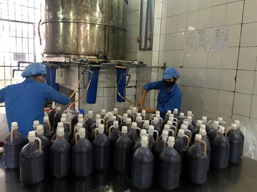 Sản xuất nước mắm là nghề truyền thống hàng chục năm nay ở thị xã Cửa Lò. Sản xuất nước mắm là nghề truyền thống hàng chục năm nay ở thị xã Cửa Lò.